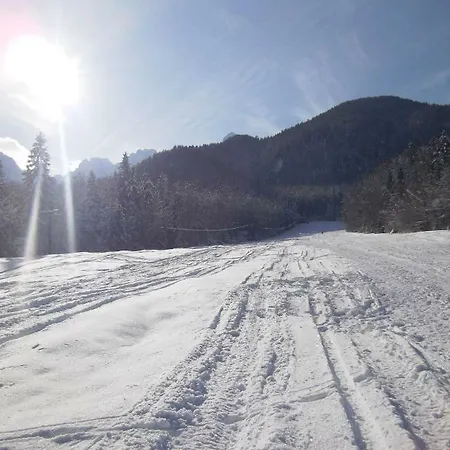 Hotel Rute And 3*